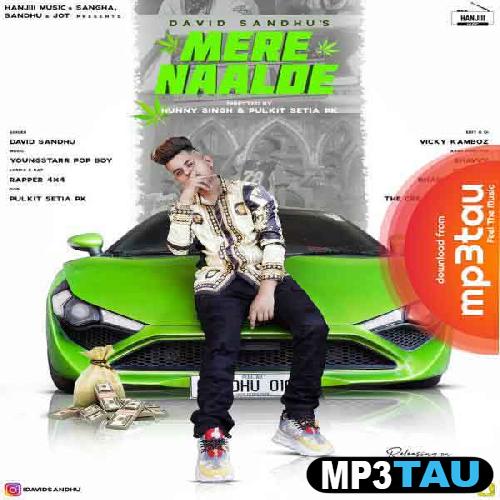 Mere-Naalde David Sandhu mp3 song lyrics